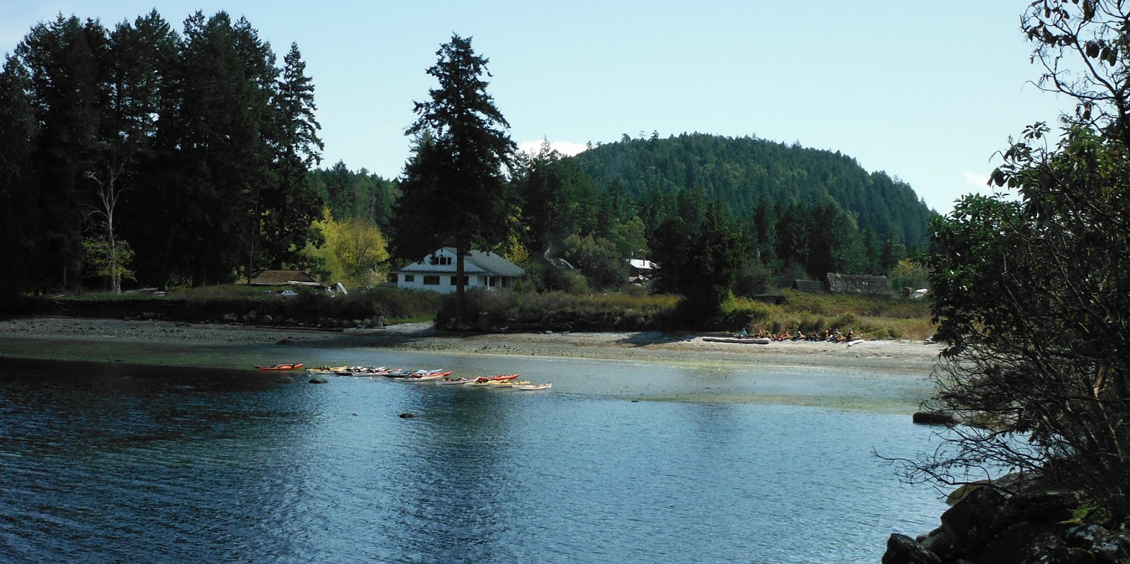 Gecko Paddler Going Back In Time Thetis Island Memories