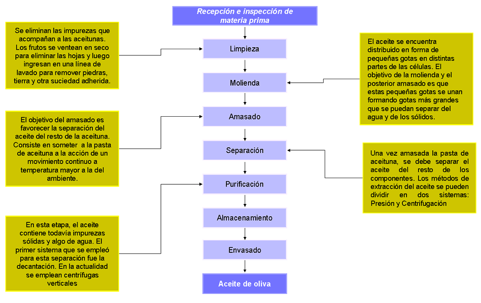 Avibert: Aceite de Oliva Diagrama del Proceso Industrial Avibert: Aceite de Oliva Diagrama del Proceso Industrial