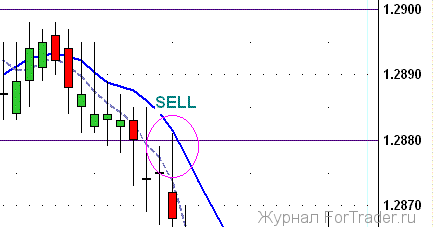 Short term forex trading tips and tricks