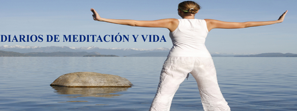 Diarios de meditación y vida