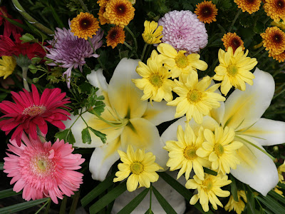 Beautiful Flowers Beautiful Flowers