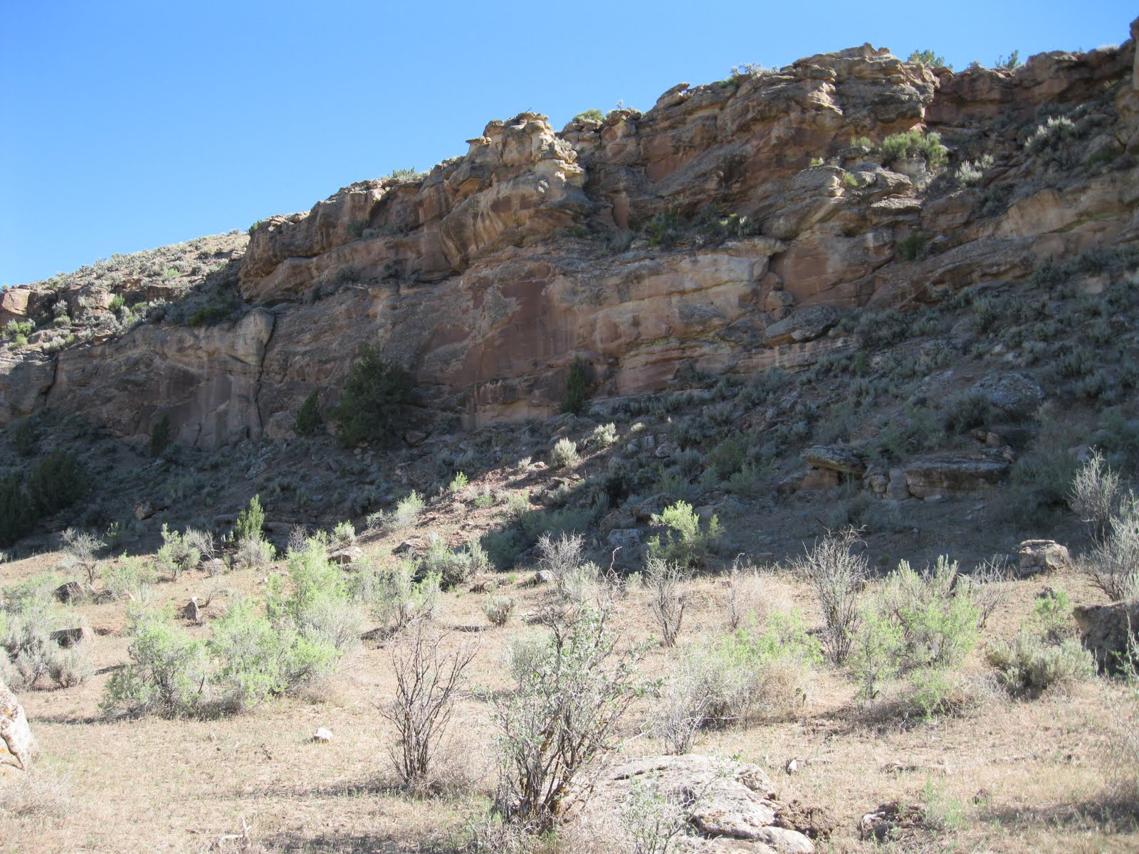 Four Corners HikesCedar Mesa in Utah Montezuma Canyon Rock Art