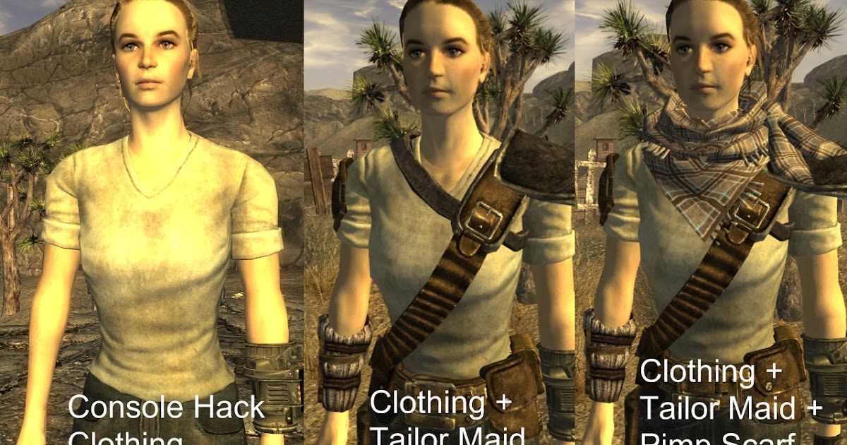 Essential fallout new vegas mods