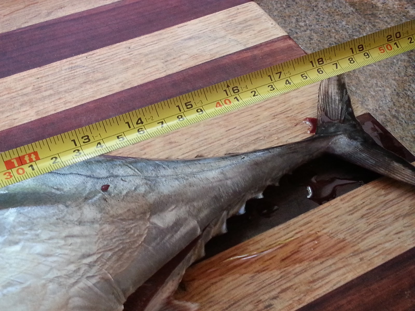 Kathryn's Foodies Channel Marinated Tuna for a Barbecue with Hot