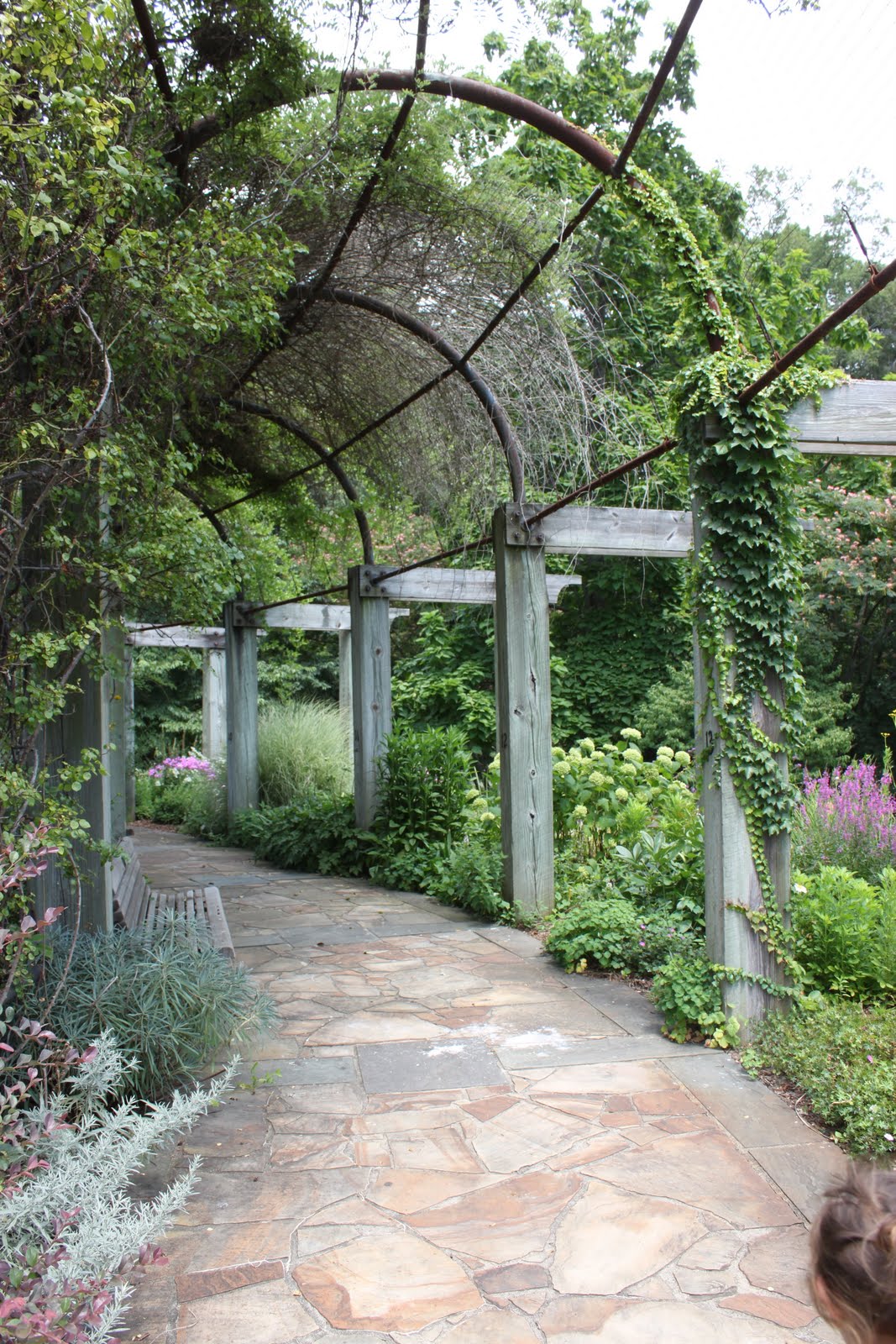 I'm Bloggin' Greensboro Arboretum