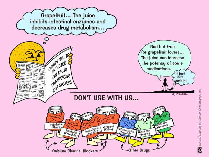 Life Outside the Comfort Zone Memory Book of Nursing