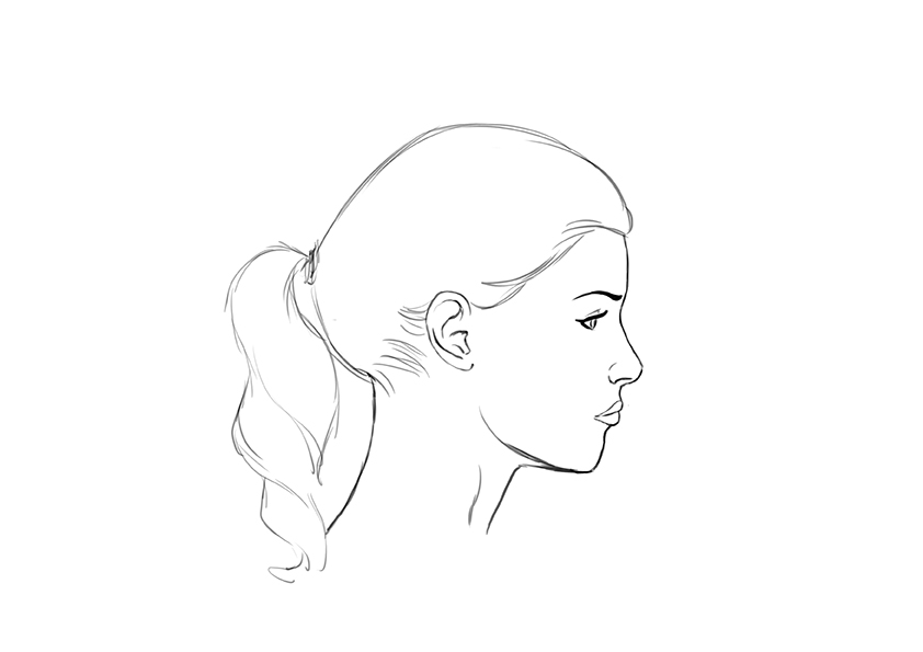 Panos Kamoulakos Illustrator Teacher How to draw the female head