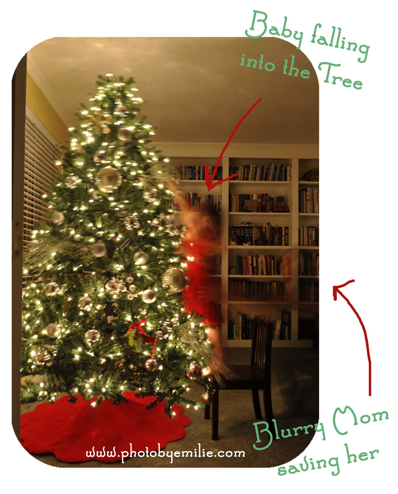 Improve Photo By Emilie Perfect Christmas Tree Photos