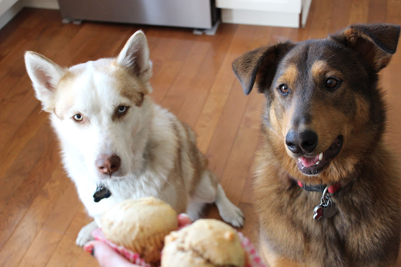 Naked Cupcakes Peanut Butter Honey 'Pup'cakes!