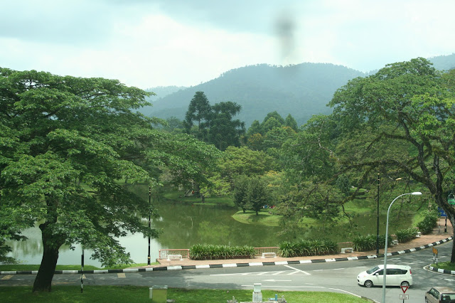 马来西亚霹雳州太平 太平山太平湖