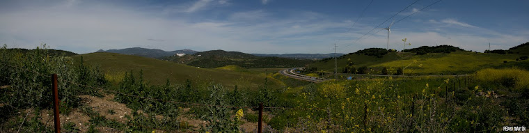 PANORÁMICA ALCALÁ DE LOS GAZULES