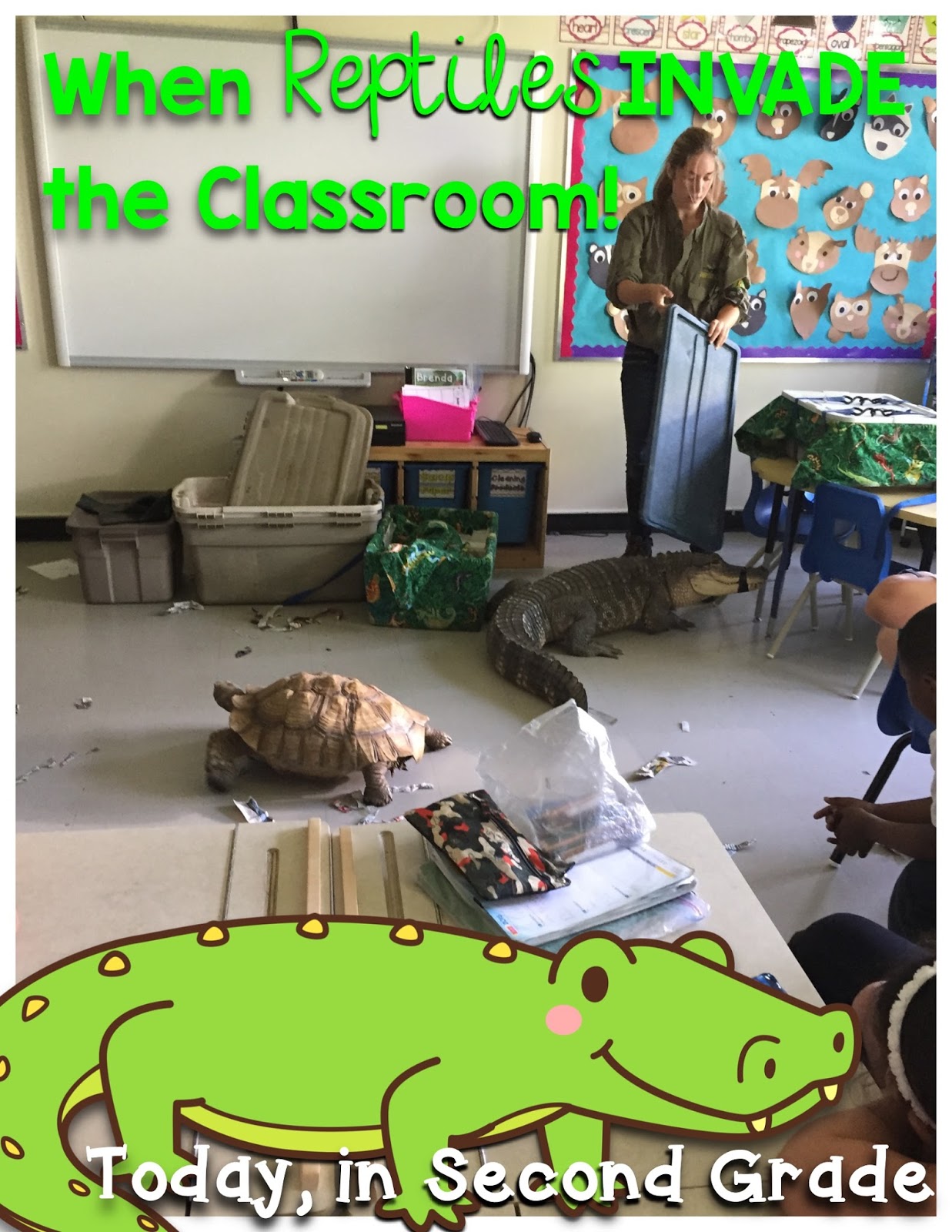 When Reptiles INVADE the Classroom Today in Second Grade