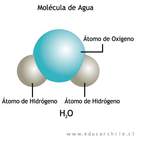Molécula de Agua