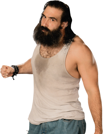 http://2.bp.blogspot.com/-UEsfGHHx0MA/UoBF50SHsVI/AAAAAAAACr0/quhyjvd8zTs/s1600/luke_harper.png