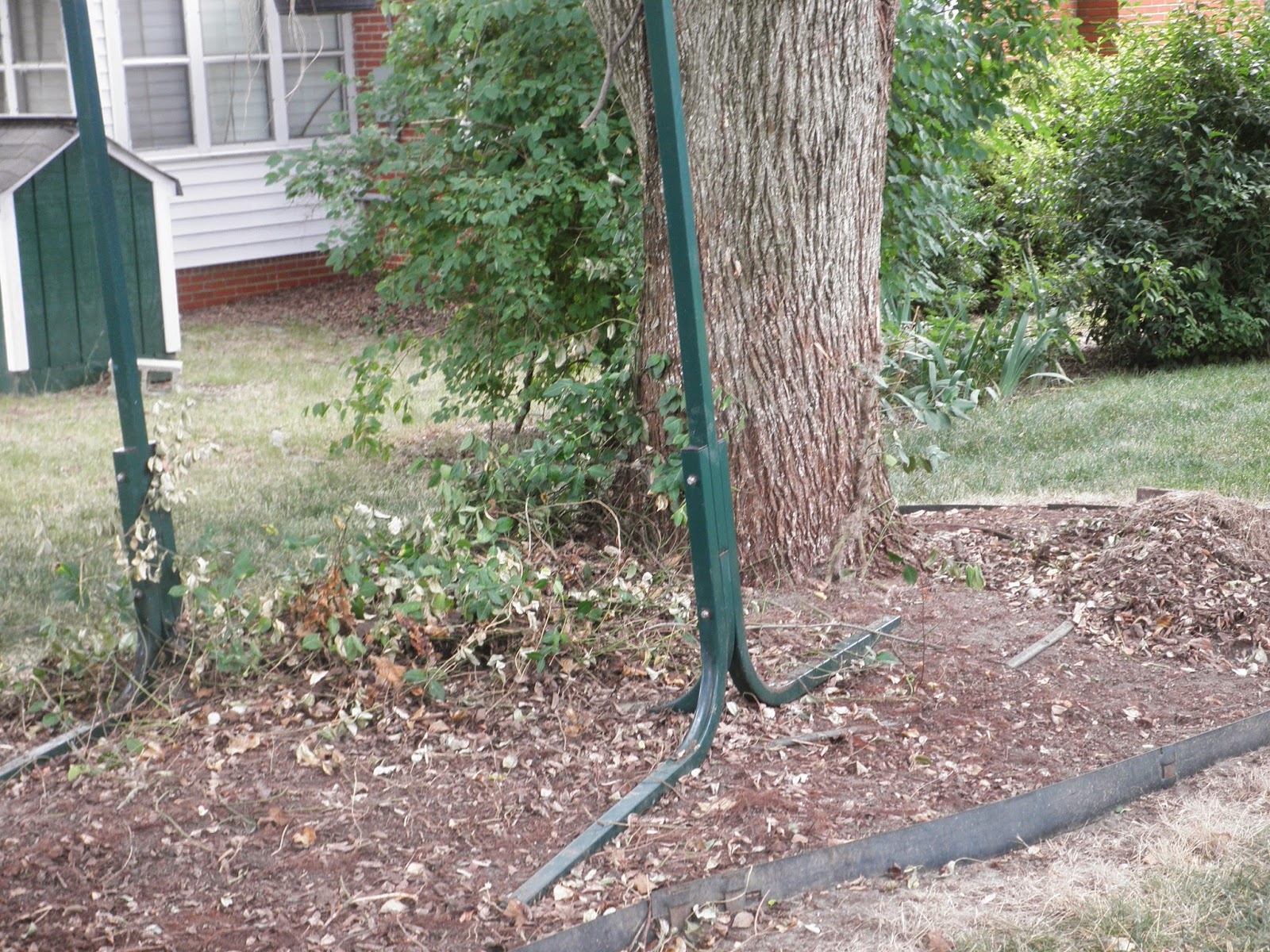 From the Garden Bench