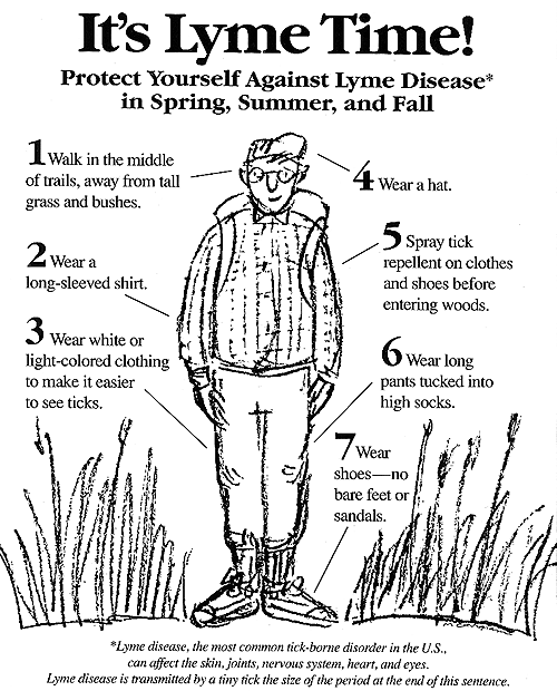 Lyme Disease Contagious Health and Disease