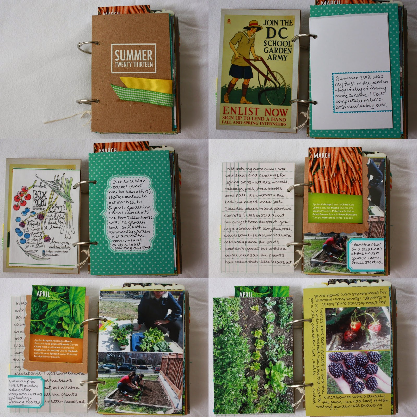 Anna Mice February 2015