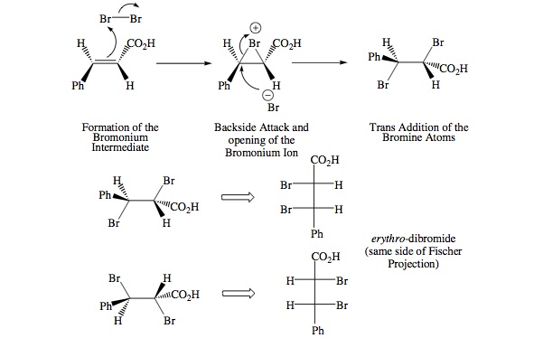 bromine addition to trans-cinnamic acid