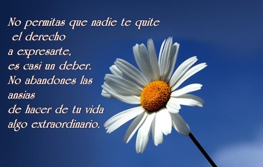 Image result for PENSAMIENTOS DE LO MAS PROFUNDO DEL ALMA