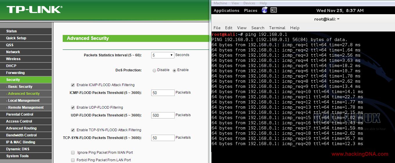 HackingDNA Router Testing