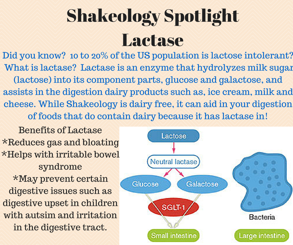 Lindsay Bauer Wellness Shakeology Spotlight Lactase