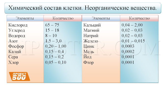 Химический состав клетки. Плакат по химии.