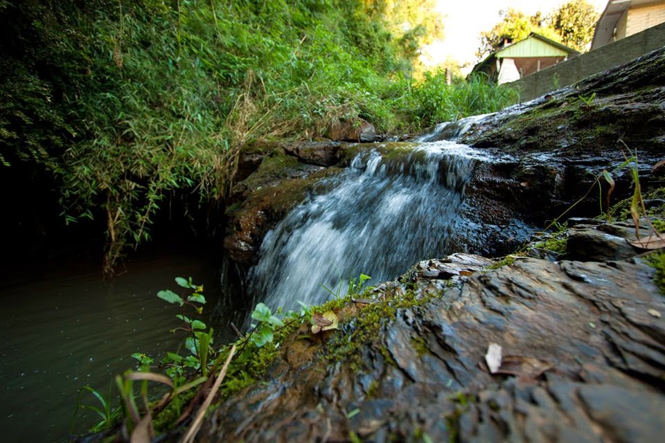 Salvemos a Mata do Arroio dos Pereira em Irati -Pr