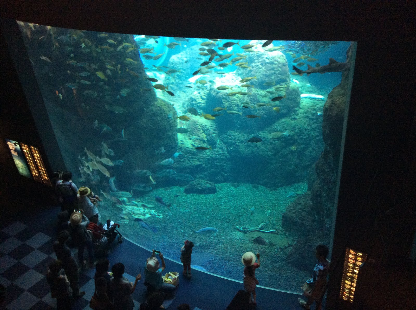 Elder Dunn Called to Serve The largest pane of glass in the world!