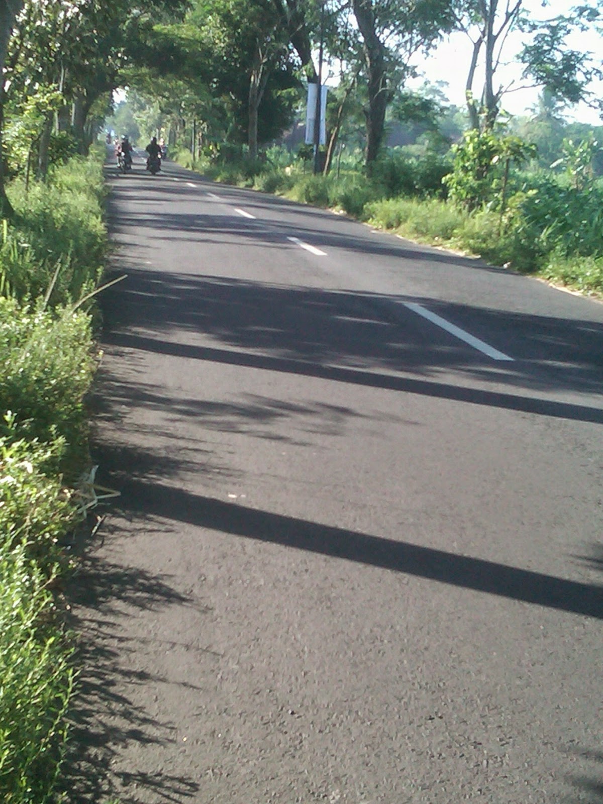 Tanah+Jalan+Palagan+Km.+10+Sleman_343m2_Muka+36m_rumahjogya.com+(1).jpg