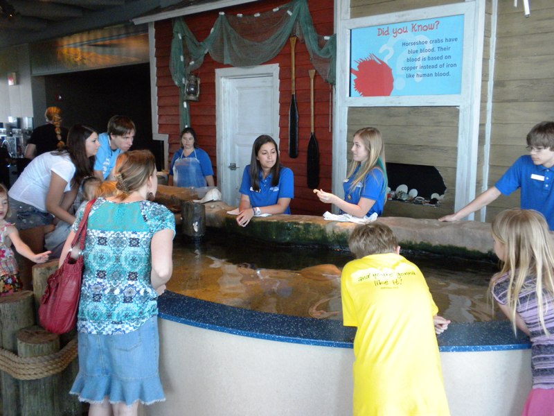 The Zoo Review Touch Tank