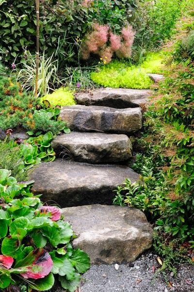 Would like this for the hill in our backyard | Backyards Click