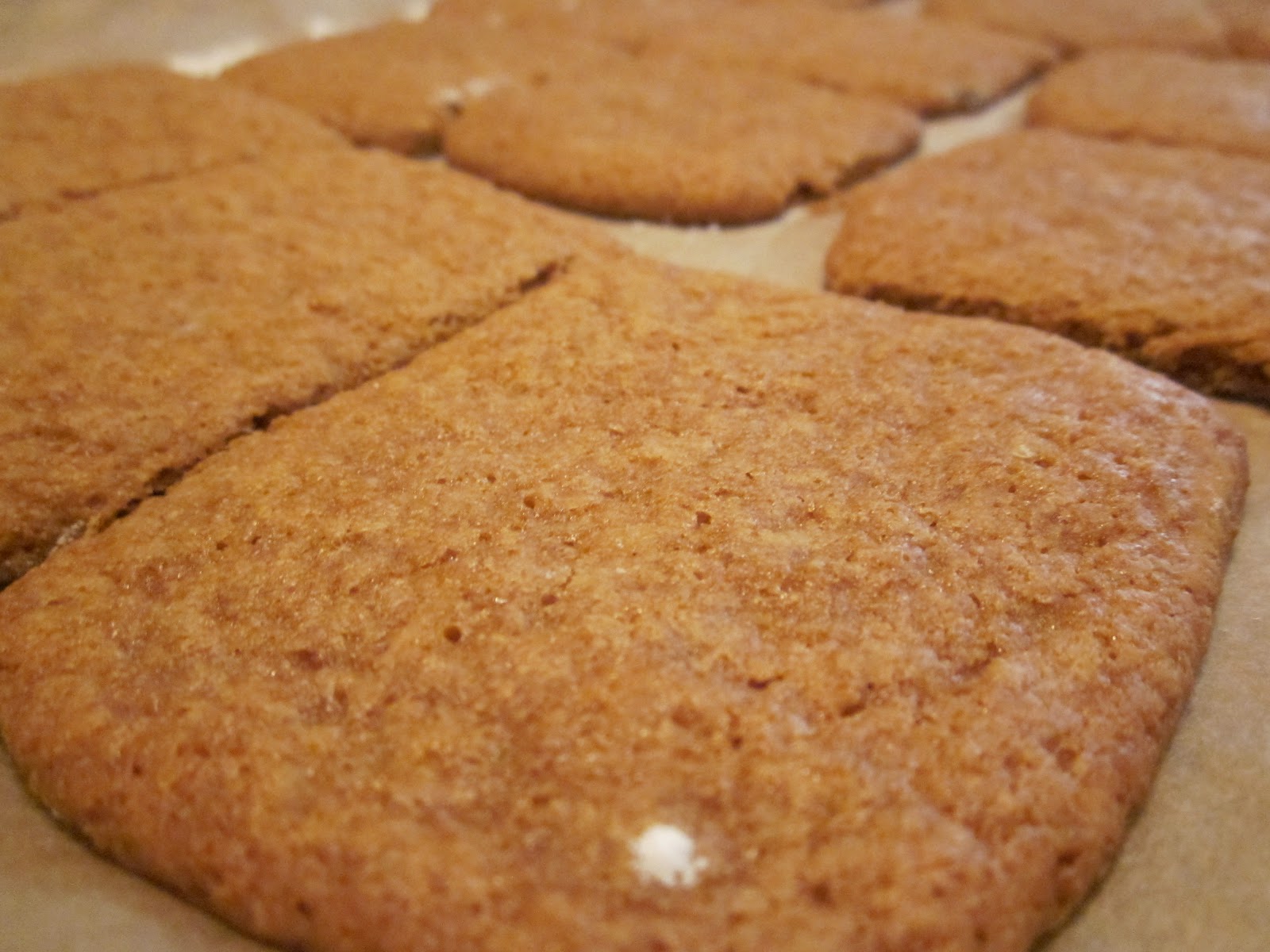 Gluten Free Graham Crackers No One Likes Crumbley Cookies