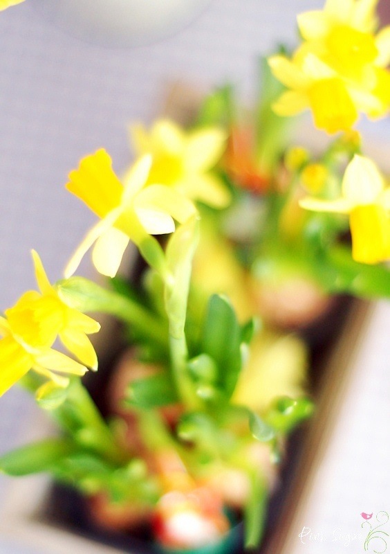 Printable Quotes Hubsches Fur An Der Wand Applewoodhouse De