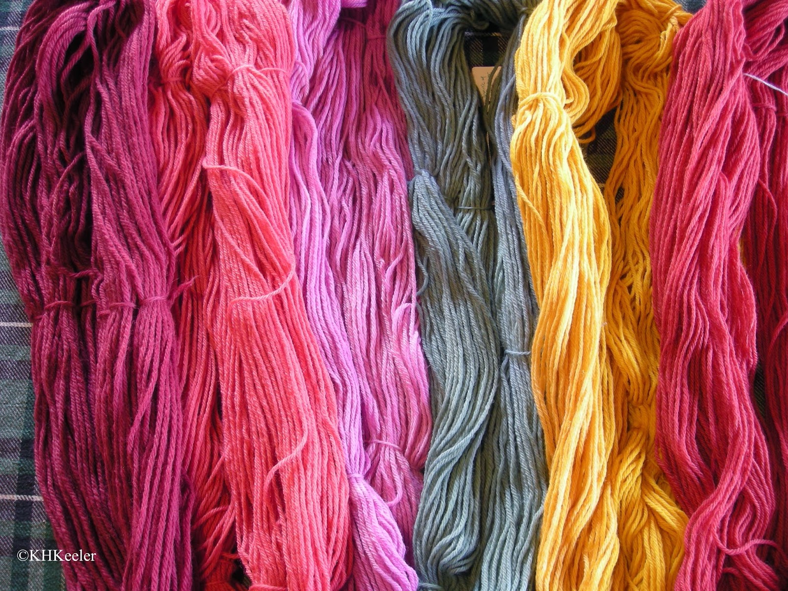 A Wandering Botanist Dye Plants Yellows from Many Sources