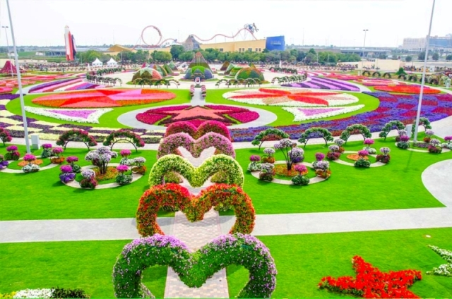 The Miracle Garden
