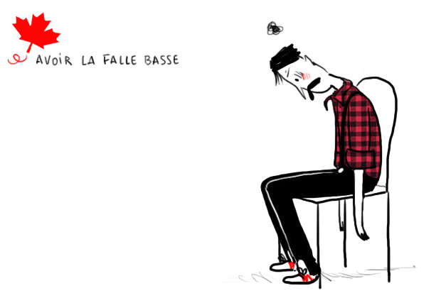 Le contrôle des parasites le prix