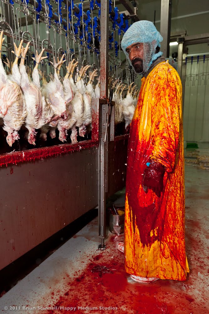 Friday night funkin' monster wallpapers HAPPY MEDIUM STUDIOS: WELCOME TO THE SLAUGHTERHOUSE