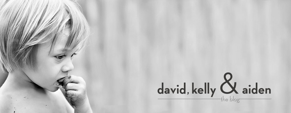 David, Kelly & Aiden | The Blog
