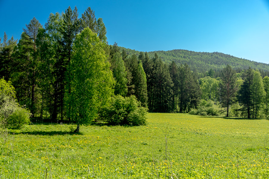 В Кузьму-Демьянку