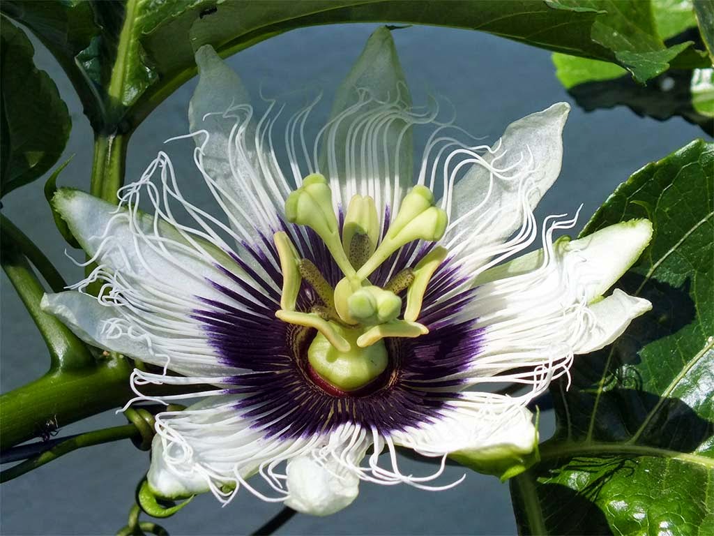 Bp Barnim Blog Eberswalde Und Bernau