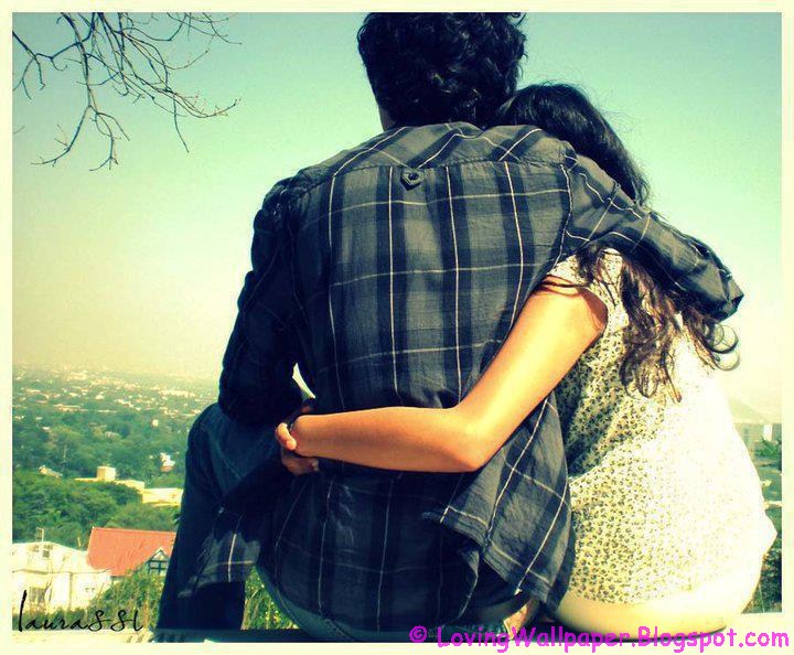 Shamrock rose aussies February 2012 - Loving Wallpaper