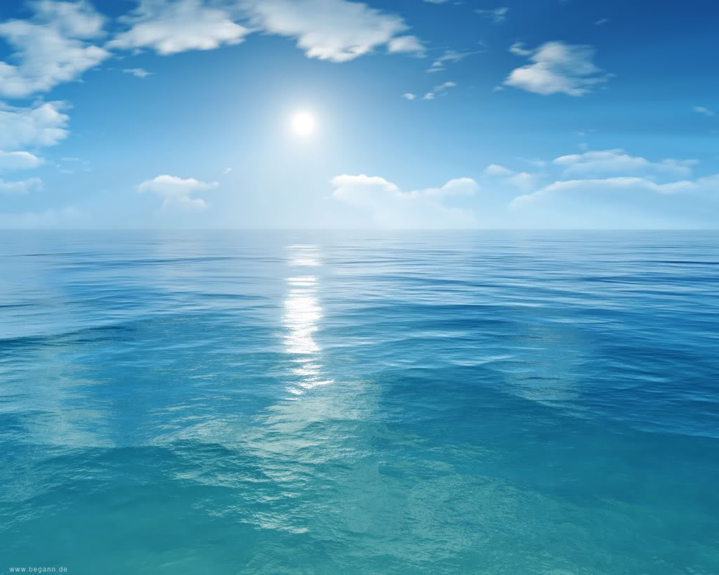 Underwater Life Ocean