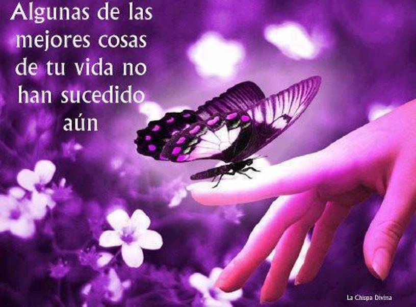 Imágenes de feliz cumpleaños para whatsapp Pinto Grandes Ideas: Frases y pensamientos en imágenes…