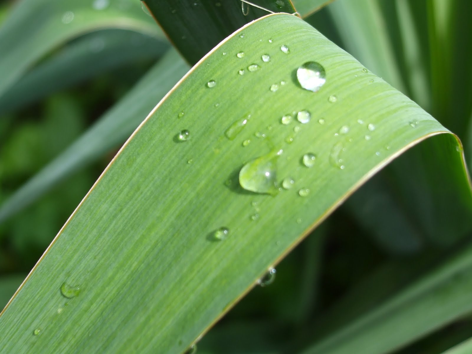 Biggi S Erster Test Blog Highlights Of The Week Auch Regentropfen Haben Ihren Reiz