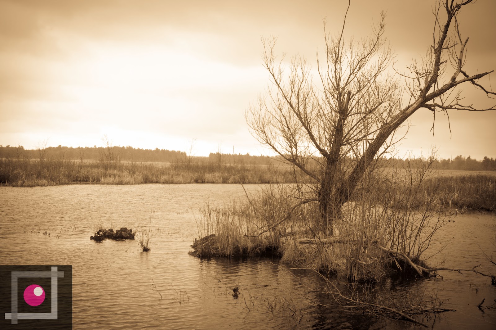 Photography April 2012