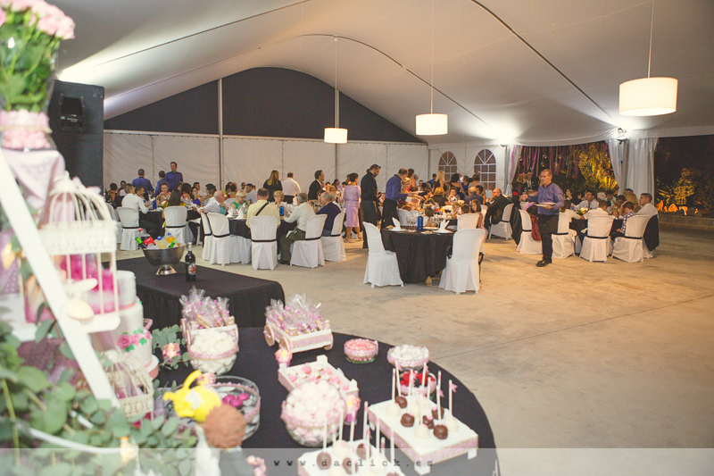 BODA EN LA FINCA JARDINADE