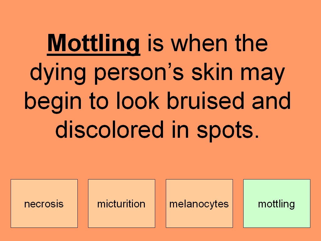 who is lily collins dating