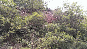 Https Www Artlog Net De System Files Kb Pdf Kunstbulletin 62016 Pdf