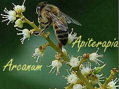 Apiterapia Arcanum