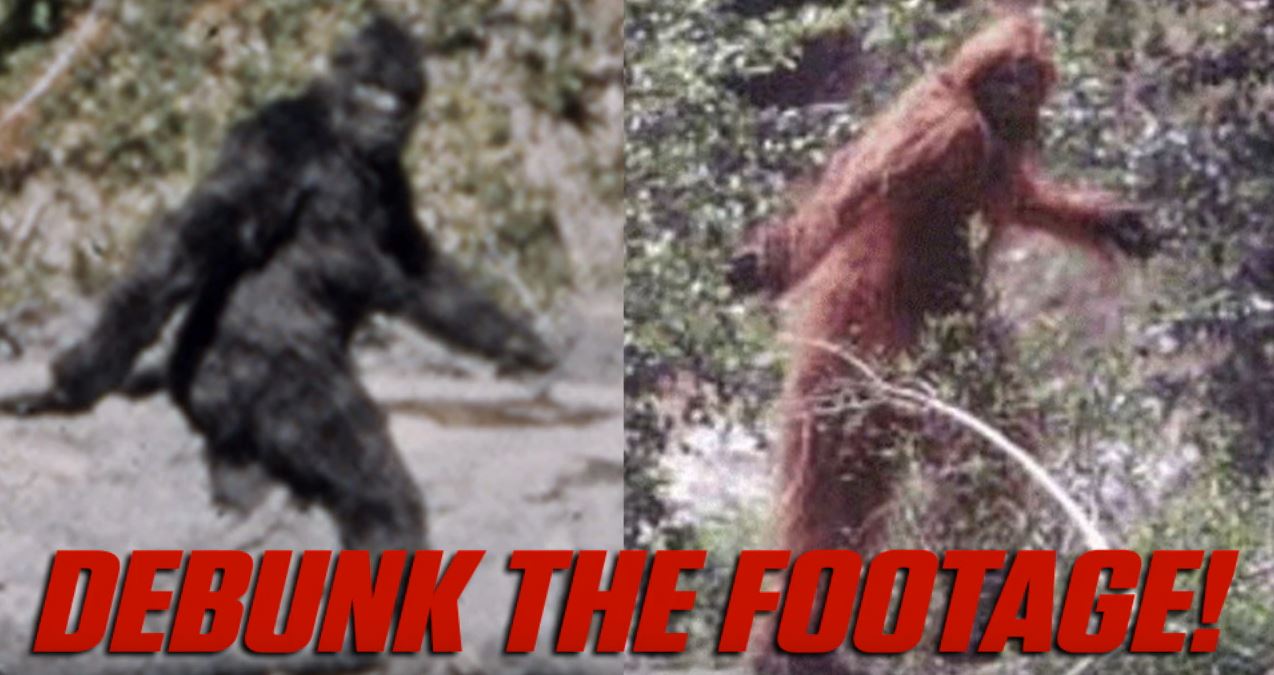 Everything You Need To Know About Bigfoot In One Minute.